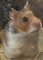 IMG_7480.webp IMG_7480.webp