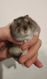 1000036361.webp 1000036361.webp