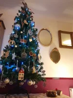 20241130_203108.webp 20241130_203108.webp