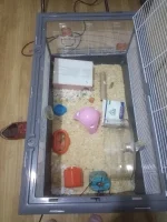 IMG_20251113_193822_8.webp IMG_20251113_193822_8.webp