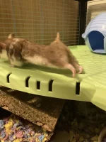 IMG_5396.webp IMG_5396.webp