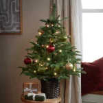 Habitat tree.webp Habitat tree.webp