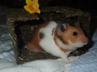 Charlie 10 March shrunk (10).webp