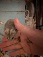 PXL_20251127_213147514.webp PXL_20251127_213147514.webp