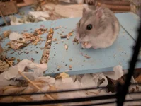 PXL_20251127_213353521.webp PXL_20251127_213353521.webp