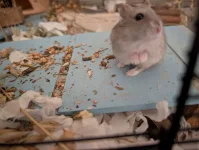 PXL_20251127_213358052.webp PXL_20251127_213358052.webp