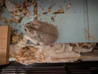 PXL_20251127_213412399.webp PXL_20251127_213412399.webp