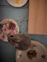 PXL_20251128_211616749.webp PXL_20251128_211616749.webp