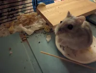 PXL_20251128_211638589.webp PXL_20251128_211638589.webp