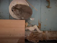 PXL_20251128_211658459.webp PXL_20251128_211658459.webp