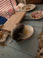 PXL_20251128_211721879.webp PXL_20251128_211721879.webp