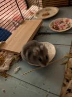 PXL_20251128_211725004.webp PXL_20251128_211725004.webp