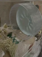 bucastate wheel.webp