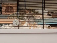 PXL_20251130_180952470.webp PXL_20251130_180952470.webp