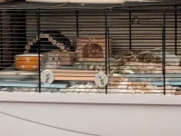 PXL_20251130_205532581.webp PXL_20251130_205532581.webp