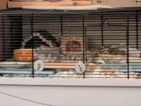 PXL_20251130_205545364.webp PXL_20251130_205545364.webp