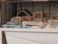 PXL_20251130_205558381.webp PXL_20251130_205558381.webp