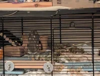 PXL_20251130_205714080.webp PXL_20251130_205714080.webp