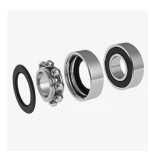 bucastate double bearing screenshot.webp bucastate double bearing screenshot.webp