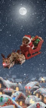 Screenshot 2025-12-03 20.11.19.webp