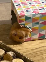 2025-10-25 22.20.47.webp