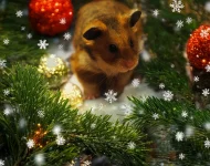 P8240870 cropped.webp P8240870 cropped.webp