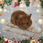 Higgins Christmas.webp Higgins Christmas.webp