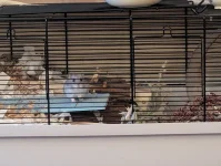 PXL_20251206_160002088.webp PXL_20251206_160002088.webp