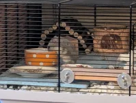 PXL_20251206_160015856.webp PXL_20251206_160015856.webp