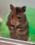 20251210_141656.webp 20251210_141656.webp