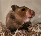 20251211_124353.webp 20251211_124353.webp