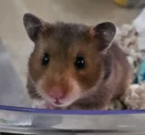 20251211_124343.webp 20251211_124343.webp