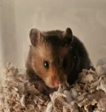 20251211_124333.webp 20251211_124333.webp