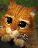 images (1) (12).webp images (1) (12).webp