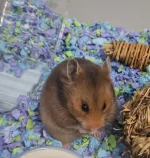 20251212_153012.webp 20251212_153012.webp