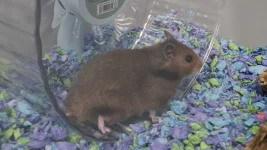 20251212_153046.webp 20251212_153046.webp