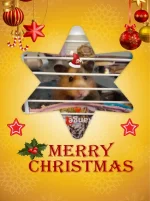 IMG_8322.webp IMG_8322.webp