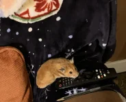 IMG_3460 jpeg cropped.webp