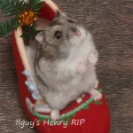 3 ilguy's Henry RIP text.webp