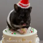4 Hammie-O's Winnie Text.webp