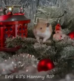 8 Eric 65's Hammy RIP text.webp