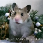 11 Biscuit 2024's Biscuit RIP text.webp