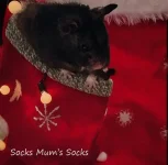 13 Socks Mum's Socks text.webp
