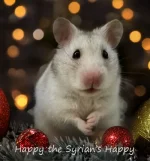 17 HappytheSyrian's Happy text.webp