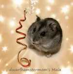 19 dwarfhamstermom's Maia text.webp