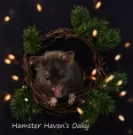 20 Hamster Haven's Oaky text.webp
