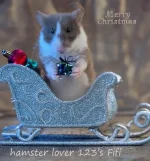 24 hamster lover123's Fifi text.webp
