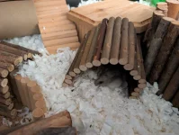 PXL_20251228_112149006.webp PXL_20251228_112149006.webp