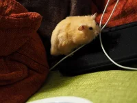 P8241717 shrunk.webp