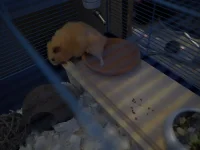 P8261718 shrunk.webp